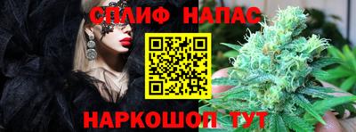 дмт Бийск