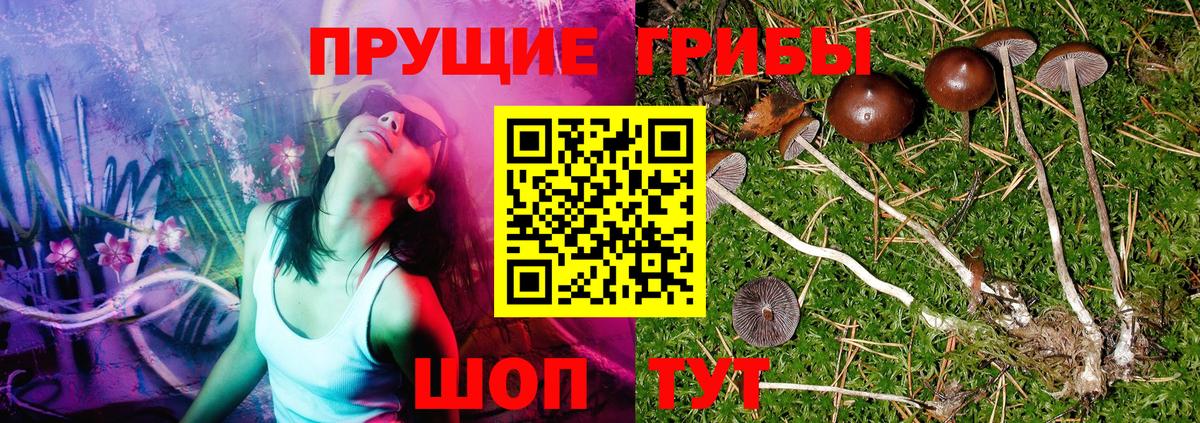 Псилоцибиновые грибы GOLDEN TEACHER Кирово-Чепецк