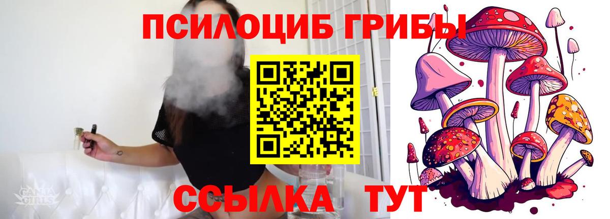Кирово-Чепецк  Псилоцибиновые грибы мухоморы  Вход с VPN  Галлюциногенные грибы прущие грибы 