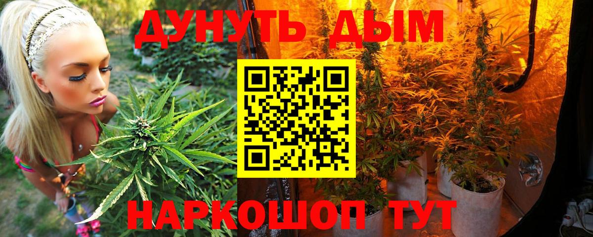 Бошки марихуана гибрид  Марихуана сатива  Вход с VPN  Кирово-Чепецк  Бошки Шишки VHQ 
